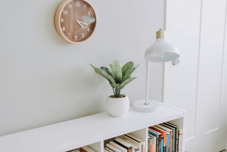 Trendy Home Essentials