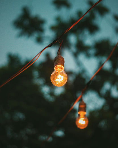 Serene Swing Bulb